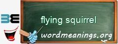 WordMeaning blackboard for flying squirrel